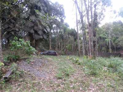 Home For Sale in Sao LourenÃ§o Da Serra, Brazil