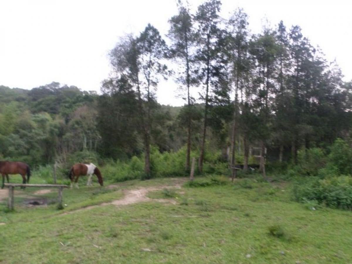 Picture of Home For Sale in Sao Lourenço Da Serra, Sao Paulo, Brazil