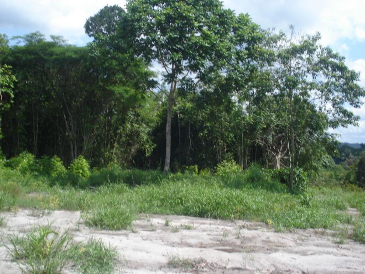 Picture of Residential Land For Sale in Manaus, Amazonas, Brazil