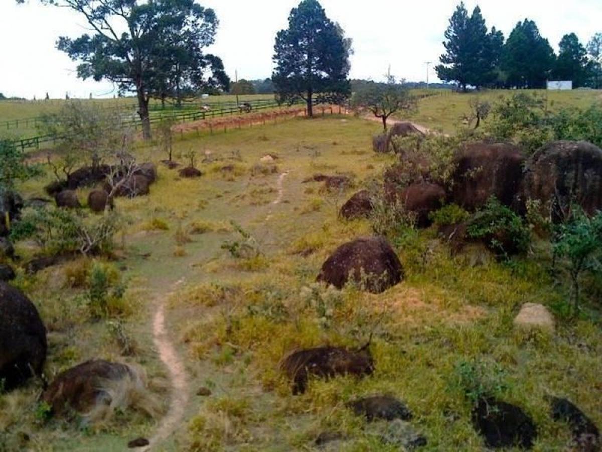 Picture of Farm For Sale in Valinhos, Sao Paulo, Brazil