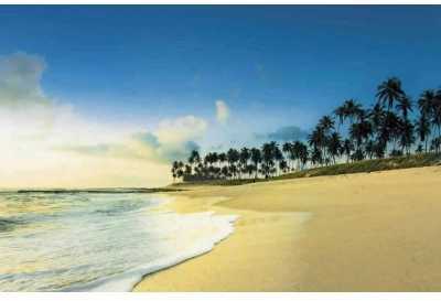 Commercial Building For Sale in Ceara, Brazil