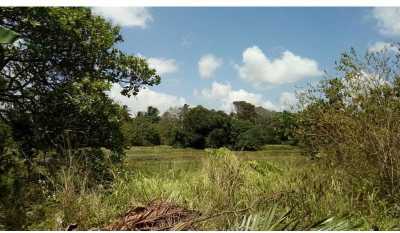 Commercial Building For Sale in