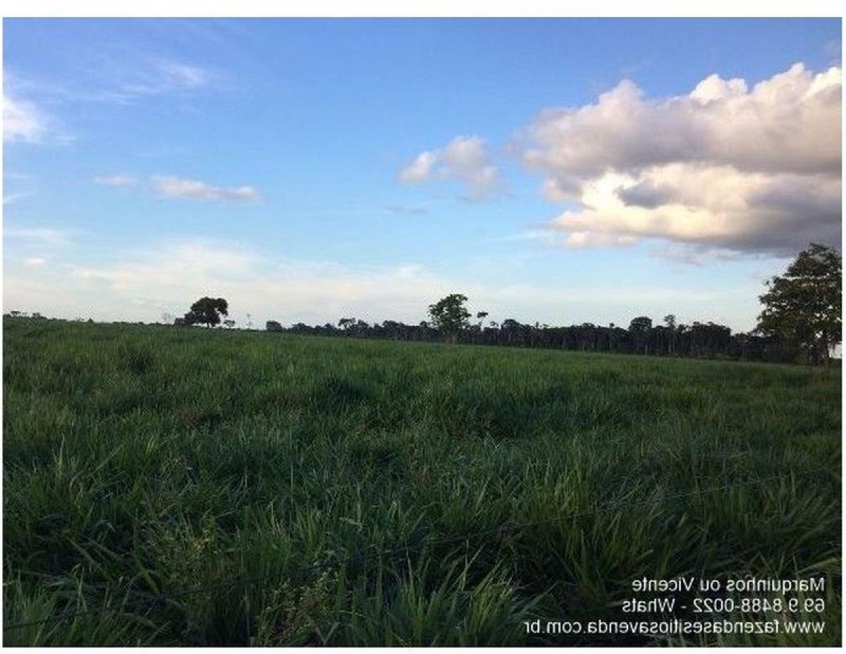 Picture of Farm For Sale in Rondônia, Rondonia, Brazil
