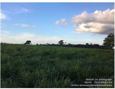 Farm For Sale in Rondônia, Brazil