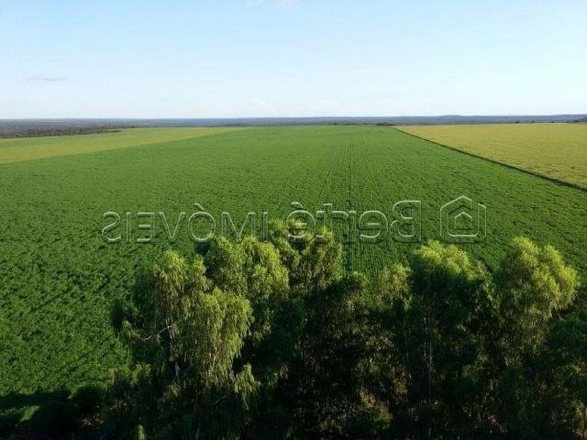 Picture of Residential Land For Sale in Mato Grosso, Mato Grosso, Brazil
