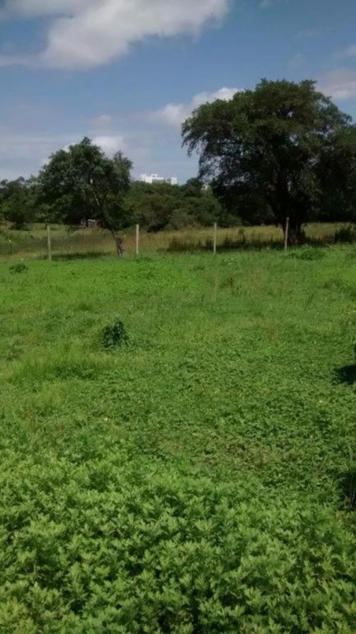 Picture of Residential Land For Sale in Gravatai, Rio Grande do Sul, Brazil