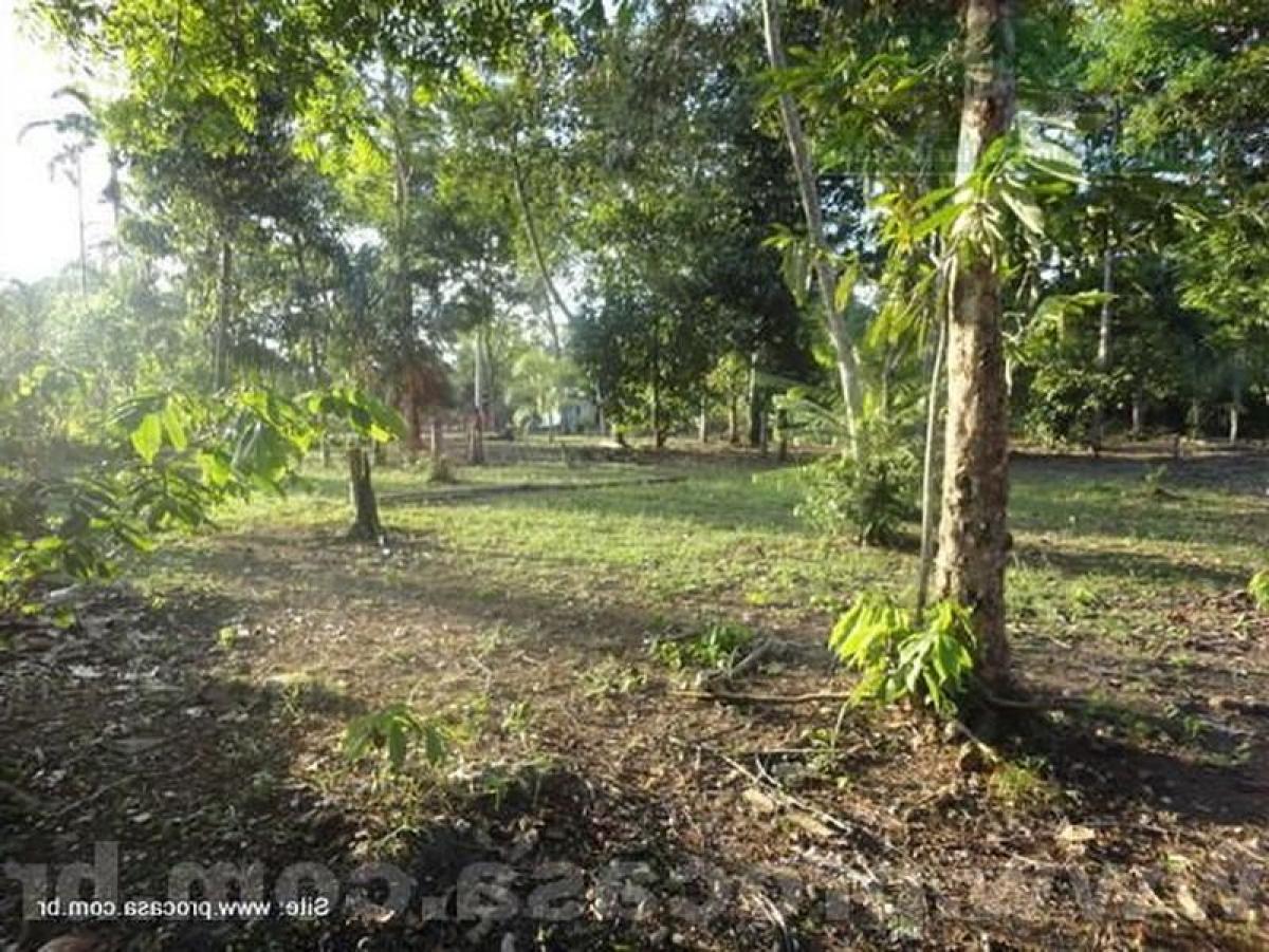 Picture of Farm For Sale in Manaus, Amazonas, Brazil
