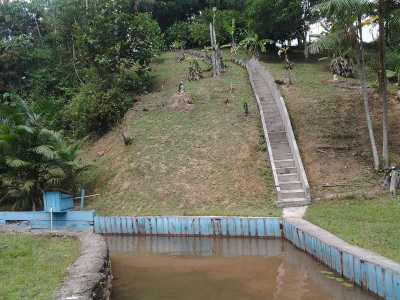 Farm For Sale in Amazonas, Brazil
