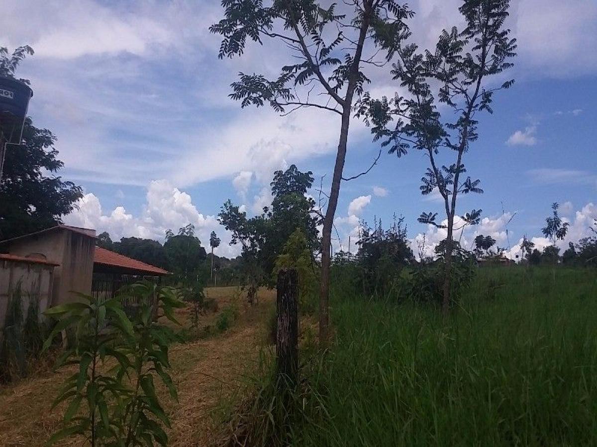 Picture of Farm For Sale in Goias, Goias, Brazil