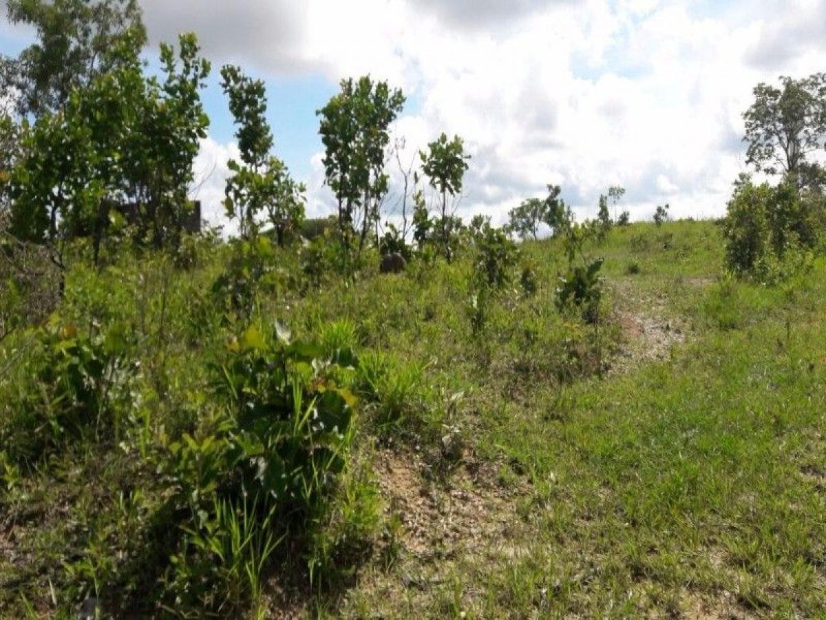 Picture of Residential Land For Sale in Goias, Goias, Brazil