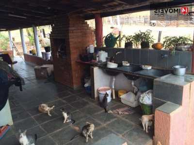 Farm For Sale in Goias, Brazil