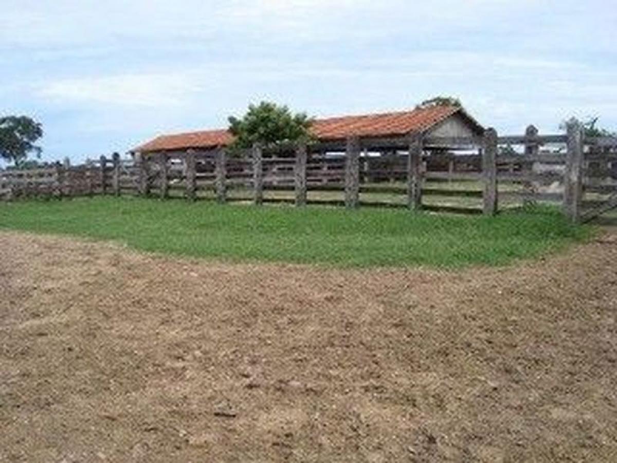 Picture of Farm For Sale in Mato Grosso Do Sul, Mato Grosso do Sul, Brazil
