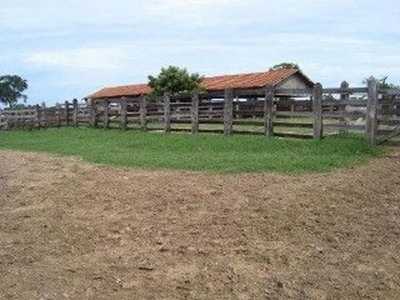 Farm For Sale in Mato Grosso Do Sul, Brazil