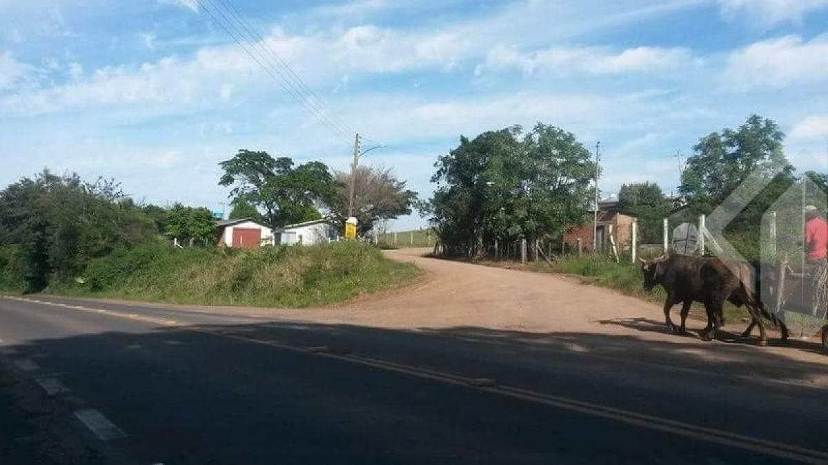 Picture of Farm For Sale in Santo Antônio Da Patrulha, Rio Grande do Sul, Brazil