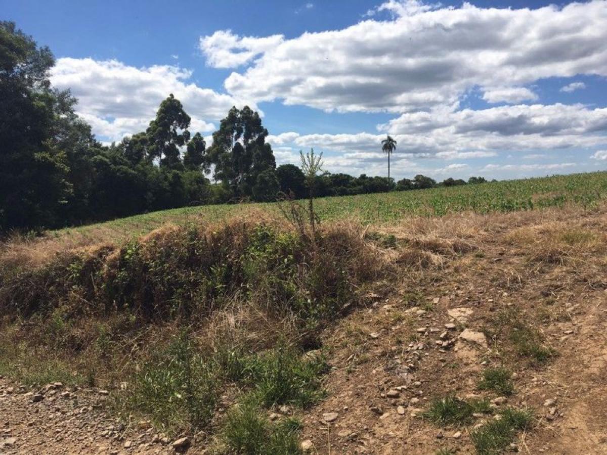 Picture of Farm For Sale in Carlos Barbosa, Rio Grande do Sul, Brazil