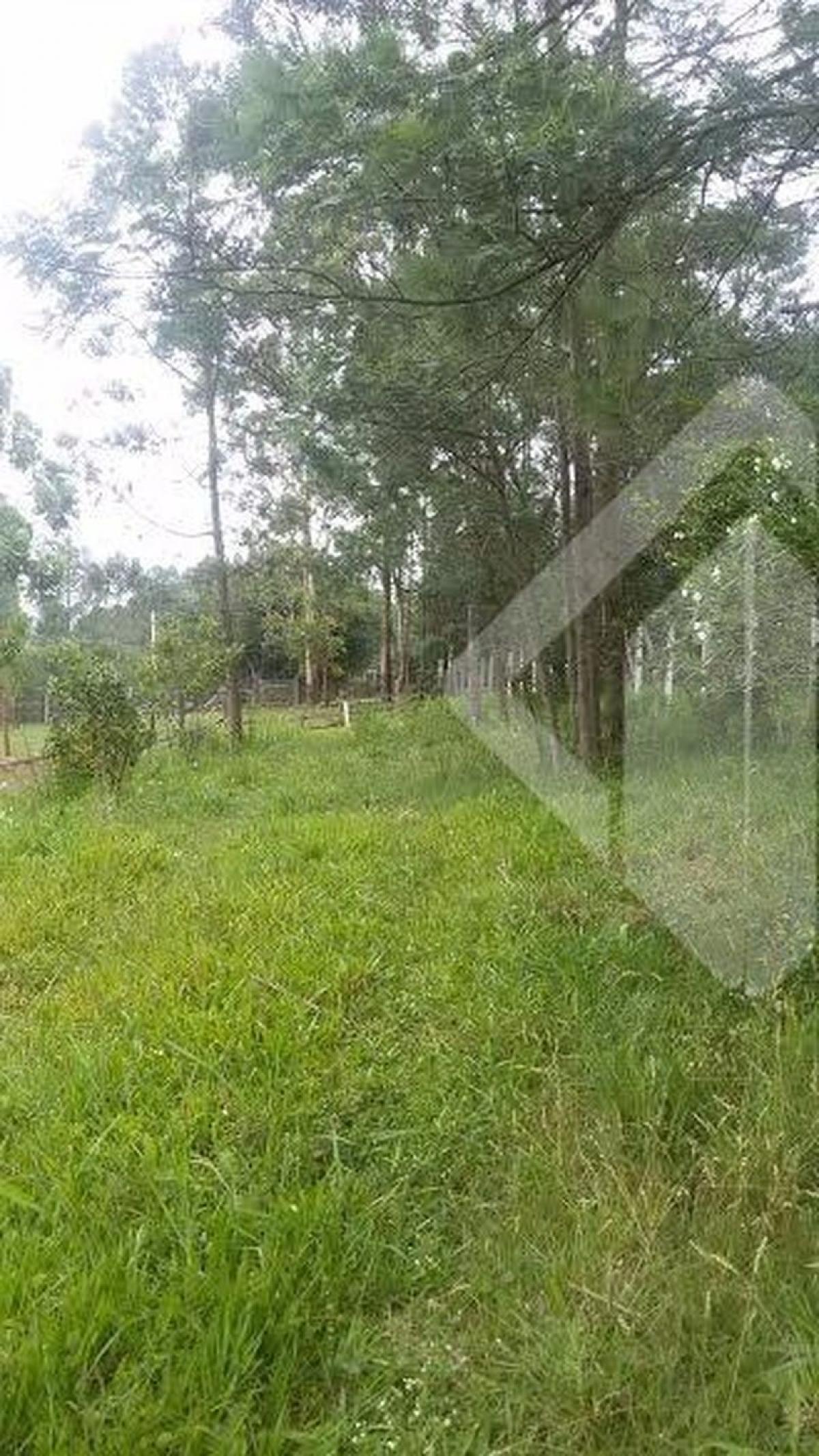 Picture of Farm For Sale in Viamao, Rio Grande do Sul, Brazil