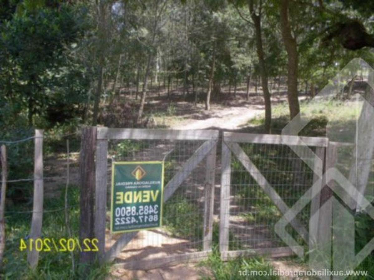 Picture of Farm For Sale in Rio Grande Do Sul, Rio Grande do Sul, Brazil