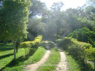 Farm For Sale in Porto Alegre, Brazil