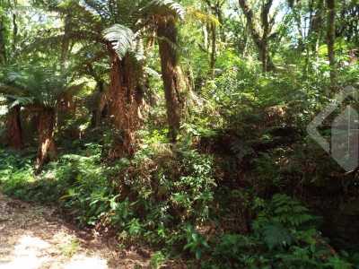 Residential Land For Sale in Canela, Brazil