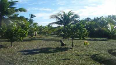 Townhome For Sale in Bahia, Brazil