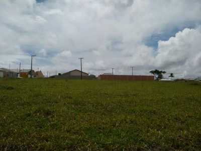 Residential Land For Sale in Bahia, Brazil