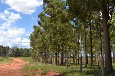 Farm For Sale in Rio De Janeiro, Brazil