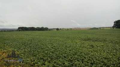 Farm For Sale in Goias, Brazil
