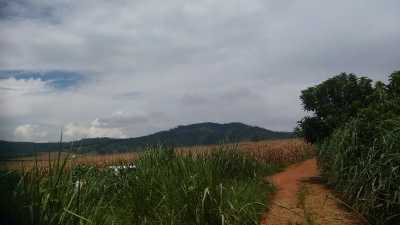 Residential Land For Sale in