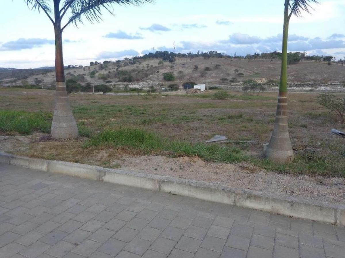Picture of Residential Land For Sale in Pernambuco, Pernambuco, Brazil