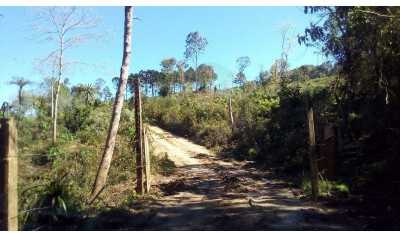 Farm For Sale in Parana, Brazil