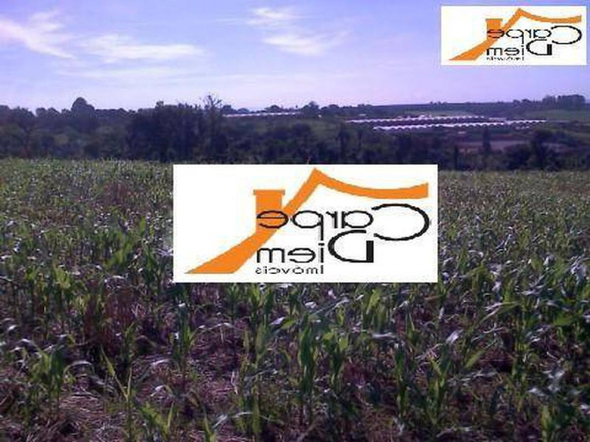 Picture of Residential Land For Sale in Holambra, Sao Paulo, Brazil