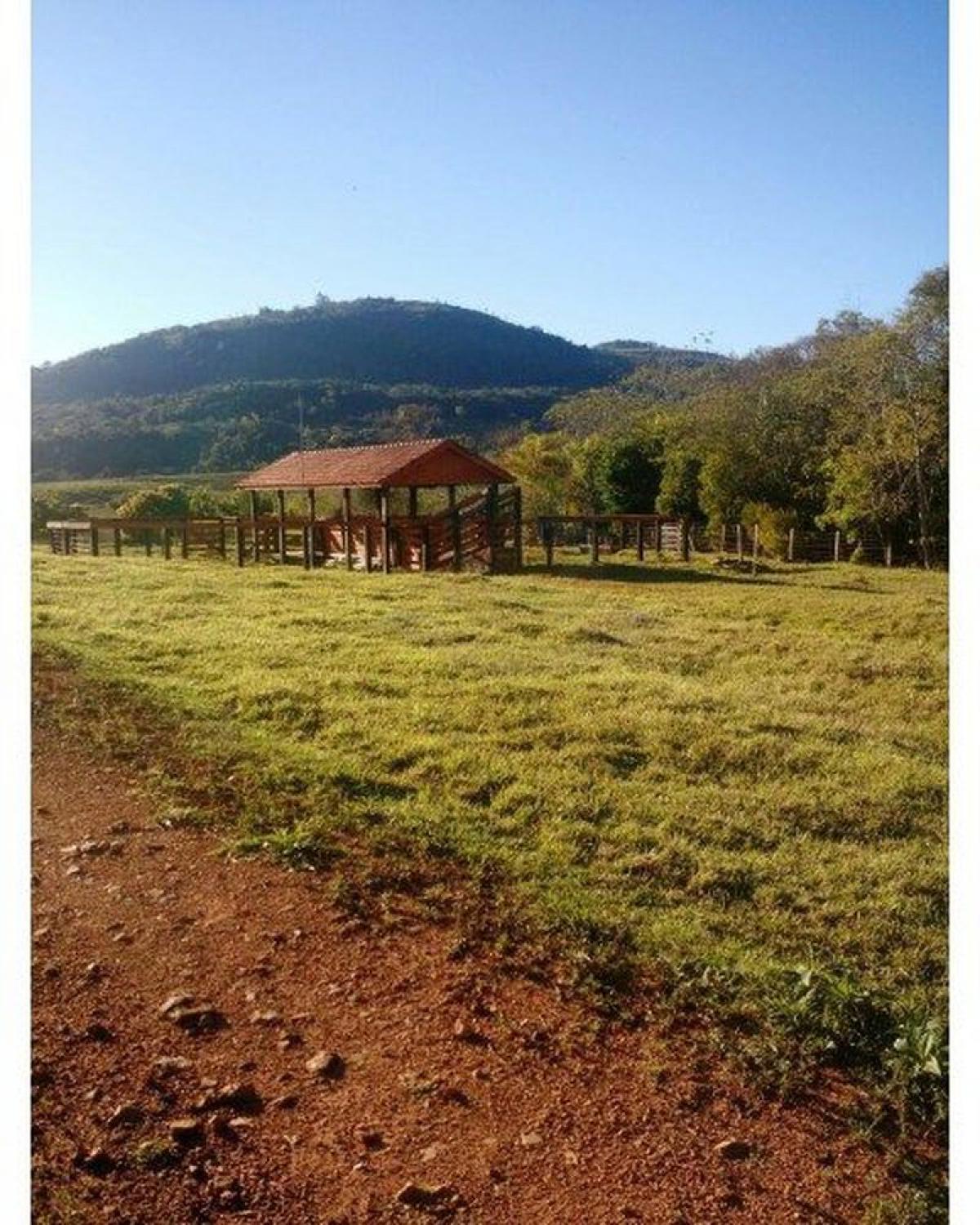 Picture of Farm For Sale in Parana, Parana, Brazil