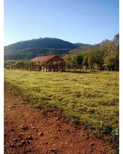 Farm For Sale in Parana, Brazil
