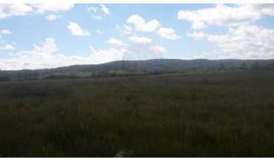 Farm For Sale in Parana, Brazil