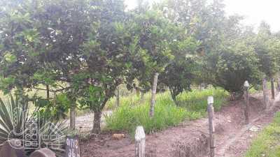 Farm For Sale in Itaborai, Brazil