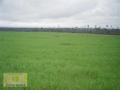 Farm For Sale in Mato Grosso, Brazil