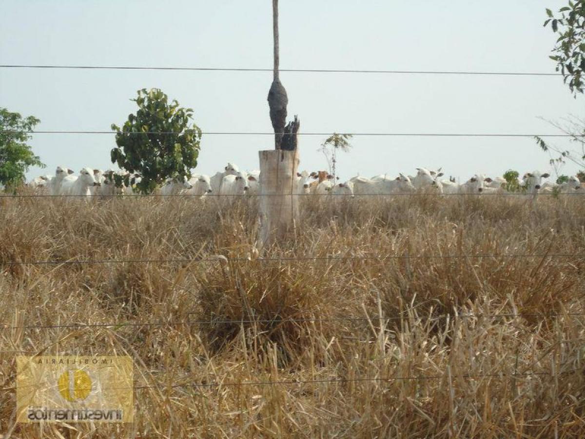 Picture of Farm For Sale in Mato Grosso, Mato Grosso, Brazil