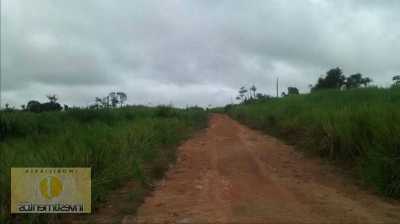 Farm For Sale in Mato Grosso, Brazil