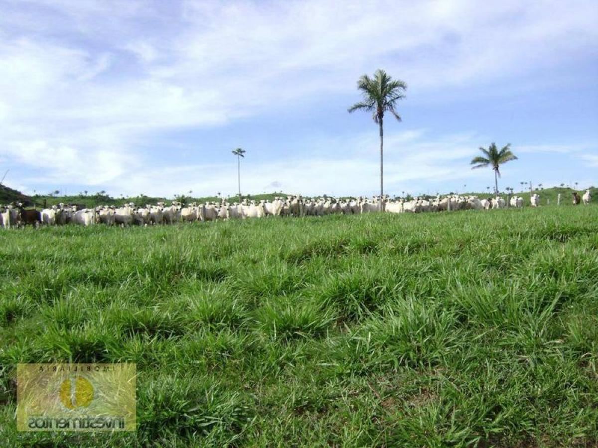 Picture of Farm For Sale in Mato Grosso, Mato Grosso, Brazil