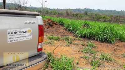 Farm For Sale in Mato Grosso, Brazil