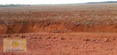 Farm For Sale in Mato Grosso, Brazil