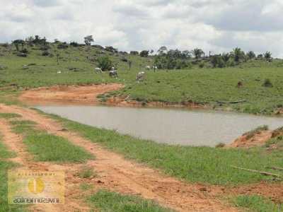 Farm For Sale in Mato Grosso, Brazil