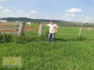 Farm For Sale in Mato Grosso, Brazil