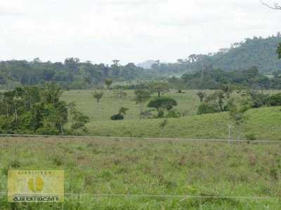 Farm For Sale in Mato Grosso, Brazil