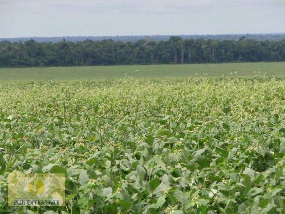 Picture of Farm For Sale in Mato Grosso, Mato Grosso, Brazil