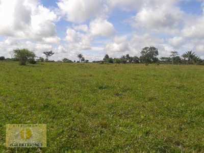 Farm For Sale in Mato Grosso, Brazil