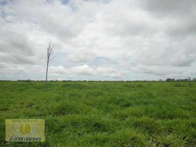 Farm For Sale in Mato Grosso, Brazil