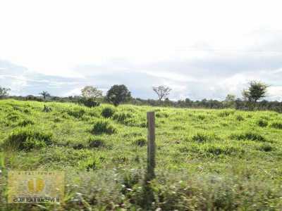 Farm For Sale in Mato Grosso, Brazil