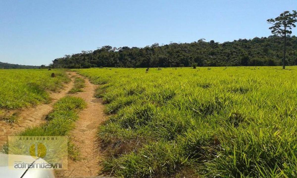 Picture of Farm For Sale in Mato Grosso, Mato Grosso, Brazil