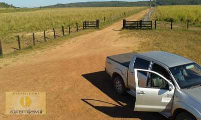 Farm For Sale in Mato Grosso, Brazil